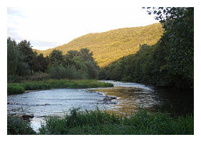 vente de viande d'agneau aveyron 