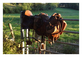 vente de viande d'agneau aveyron 