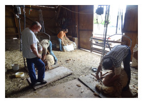 vente de viande d'agneau aveyron