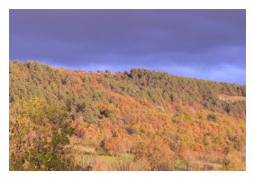 vente de viande d'agneau aveyron